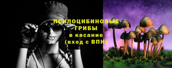 прущий лед Аркадак