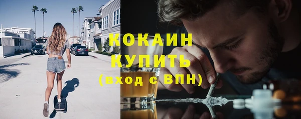 соль ск Арсеньев