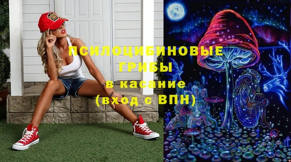 прущий лед Аркадак